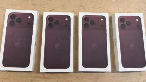 На кордоні з Польщею вилучили вісім незадекларованих iPhone 18 Pro Max на 850 ти
