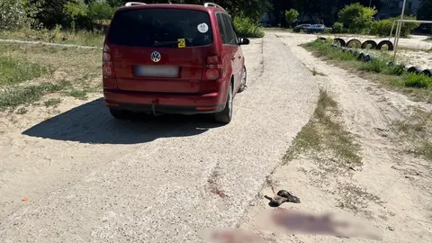 У Каневі Volkswagen наїхав на 76-річну жінку: поліція розпочала розслідування