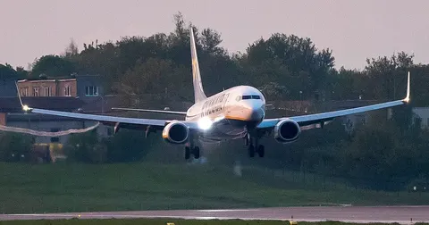 У двигуні Boeing, що травмував пасажира, знайшли рештки птахів