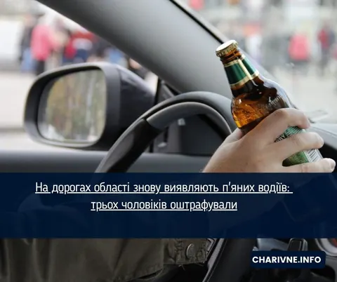 Три п'яні водії за одну ніч: на Рівненщині драгер показав до 1,90 проміле